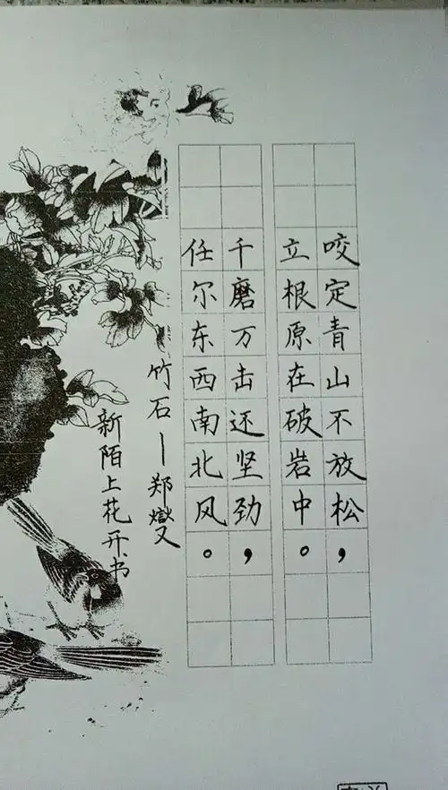 古诗硬笔书法——竹石