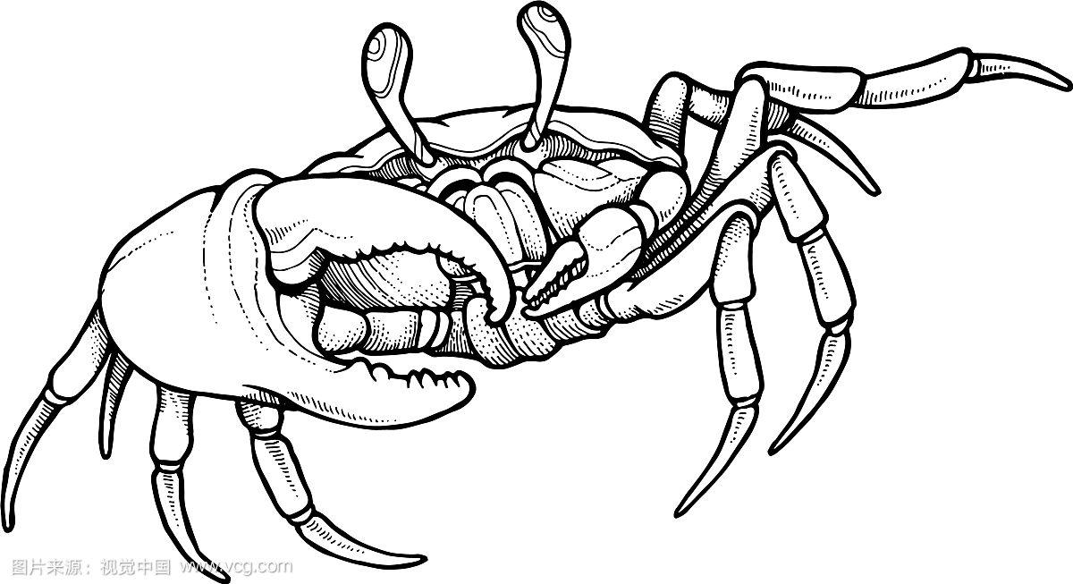 手绘线条艺术螃蟹