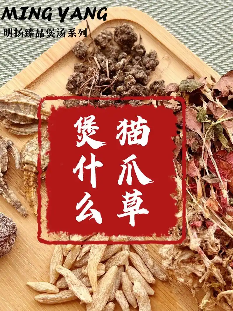 猫爪草煲汤系列.#抖音图文来了 猫爪草搭配合集#为你煲汤 # - 抖音