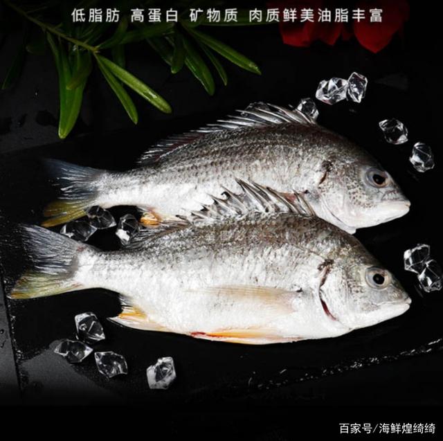 黄翅鱼吃法之清蒸黄翅鱼