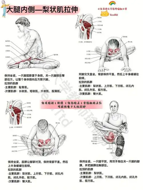 睡前臀部拉伸合集梨状肌拉伸蜜桃臀攻略