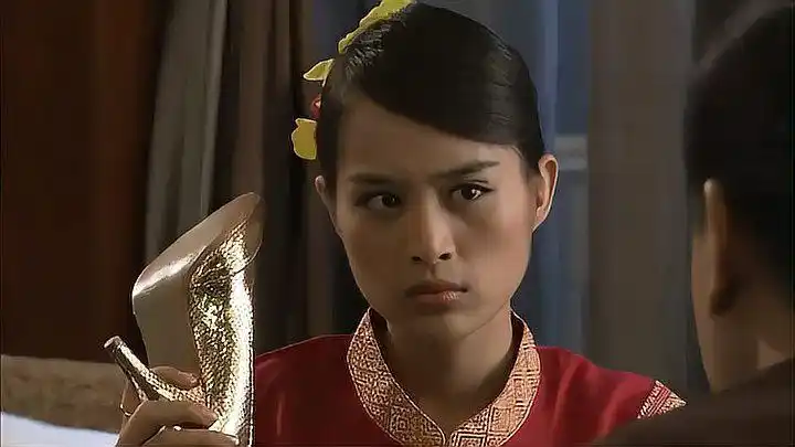 带泪梨花女毒贩嫁缅甸富豪结婚后才知道自己是三姨太怒了