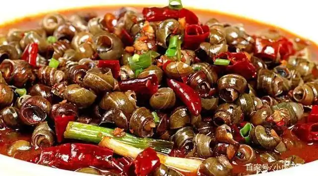 爆炒螺丝,加上它味道鲜美,香辣过瘾夜宵必备下酒菜