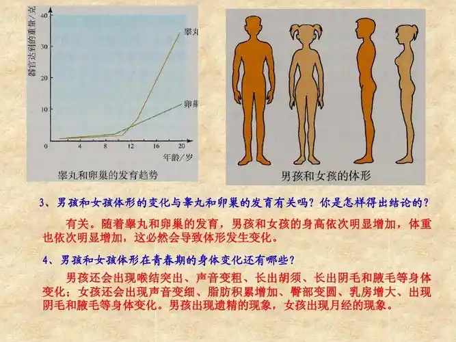 《青春期》ppt课件. 2