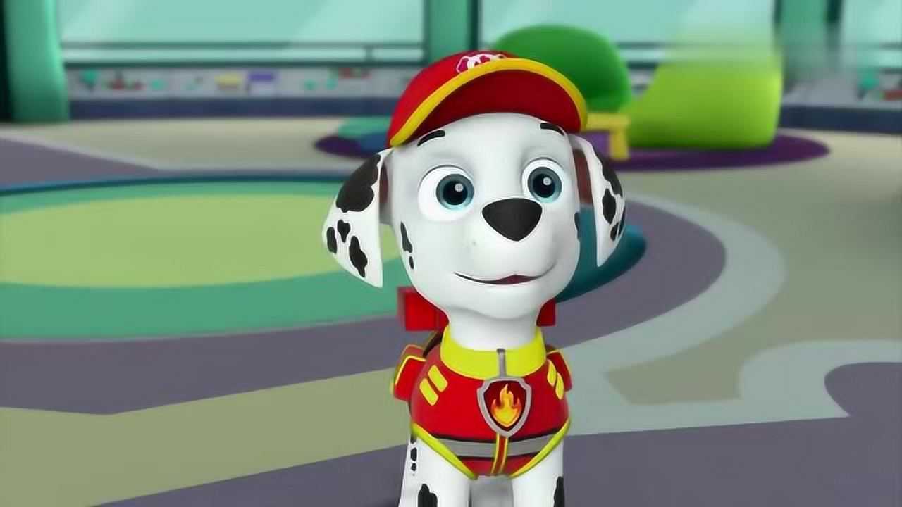 汪汪队:天天为什么要戴上羞羞头套呢?