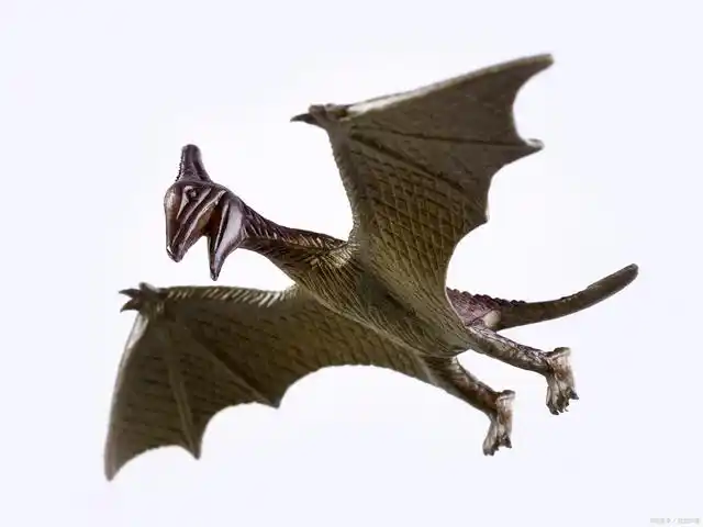 没有牙的翅膀无齿翼龙