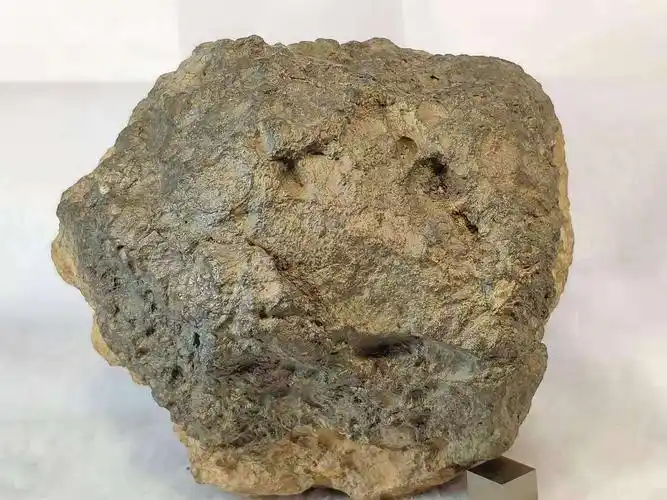 拉赫玛迪月球陨石