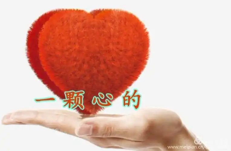 一颗心的