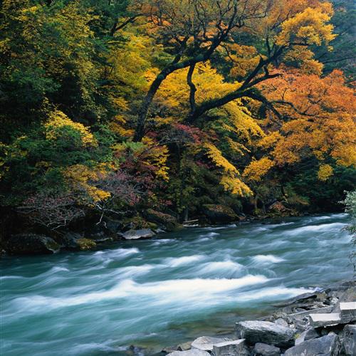 大自然的美干净治愈山水风景微信头像图片2022最新款