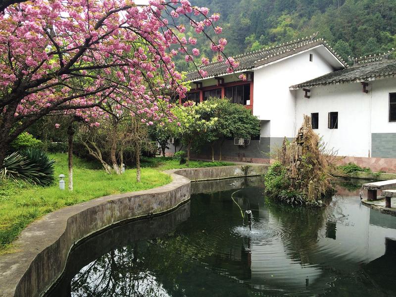 张家界琵琶溪宾馆