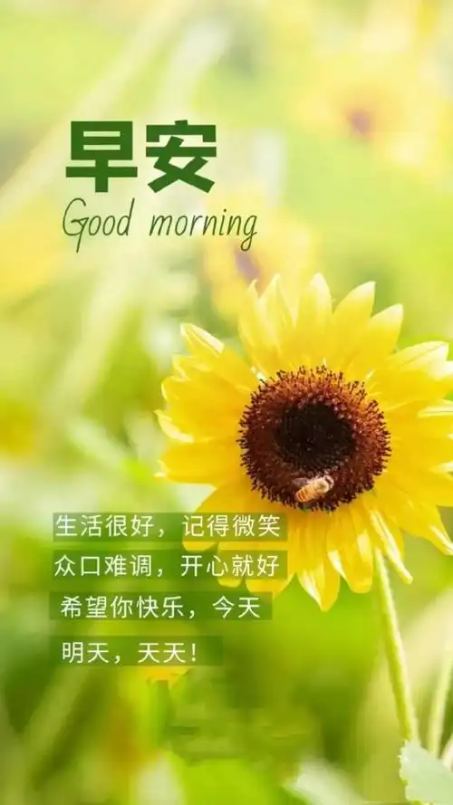 11.18」早安心语,正能量语录句子,感悟人生哲理短句片