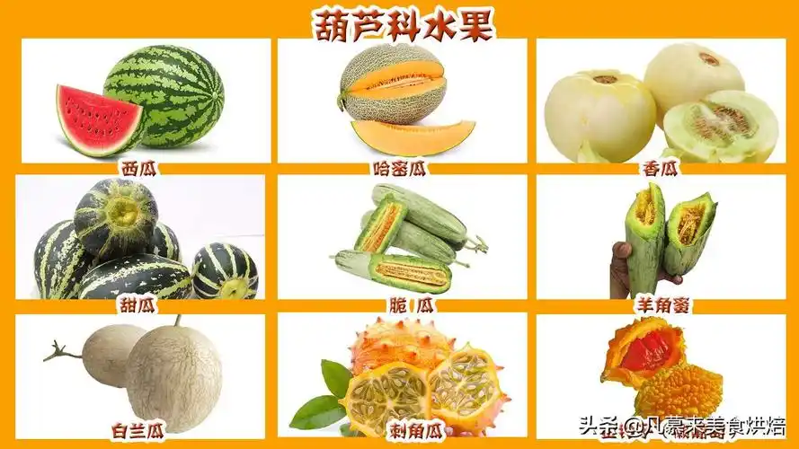 水果大全(水果分类有哪些)