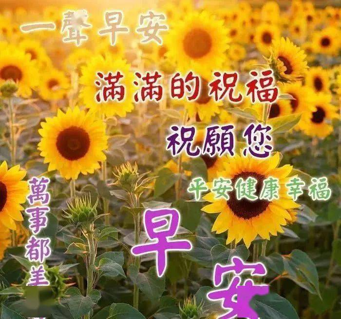 微信群发清晨祝福朋友早上好动态图片带字最新问候大家早上好的祝福
