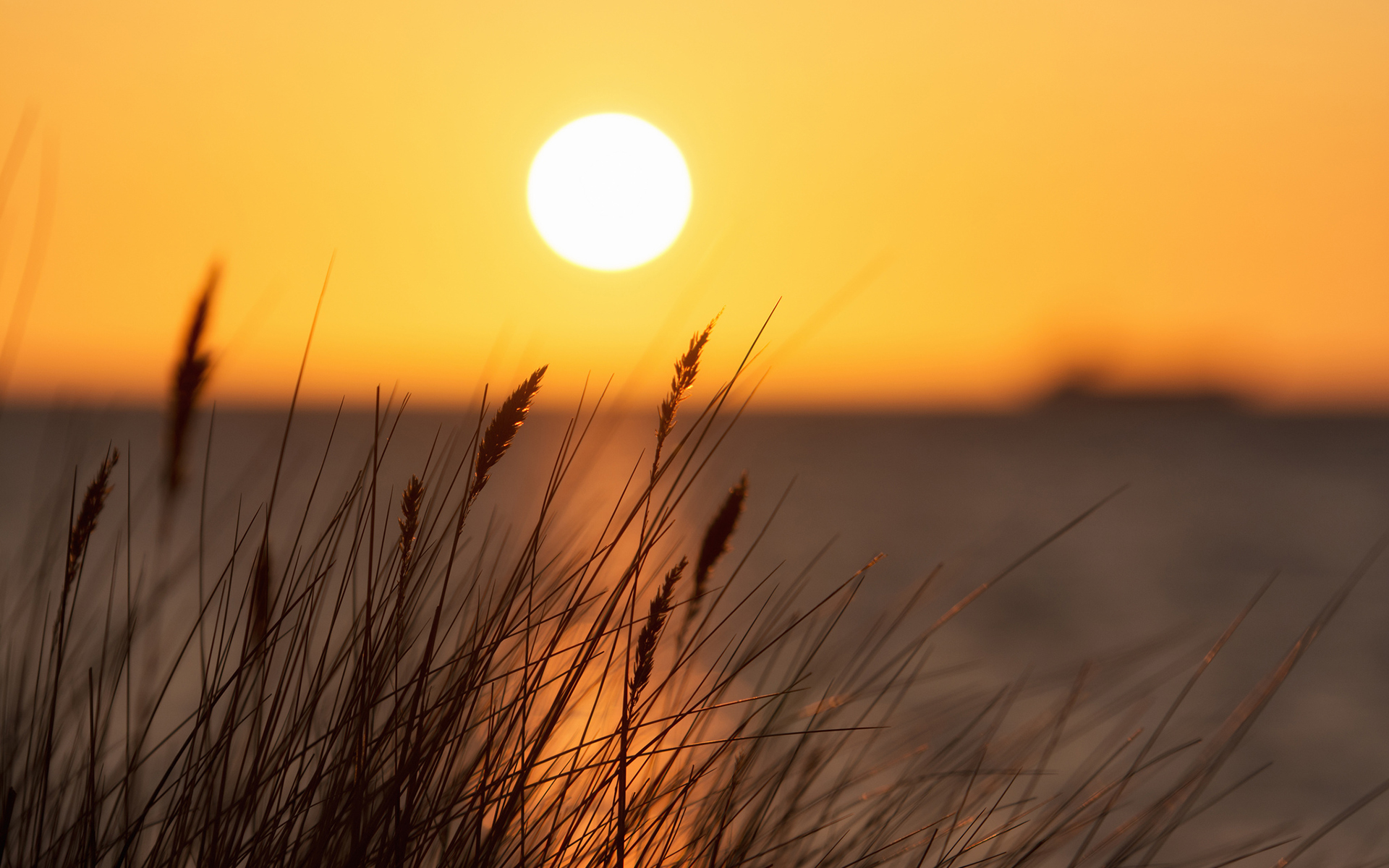 江边日落黄昏唯美意境夕阳风光高清桌面壁纸