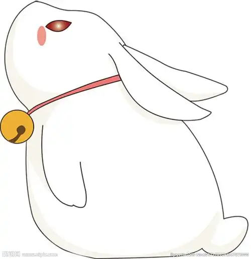 小白兔大白兔玉兔图片