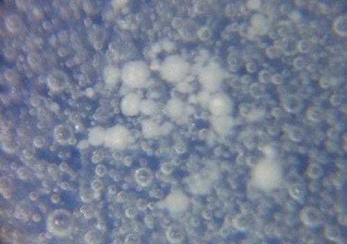 从瓷器气泡鉴定瓷器新老