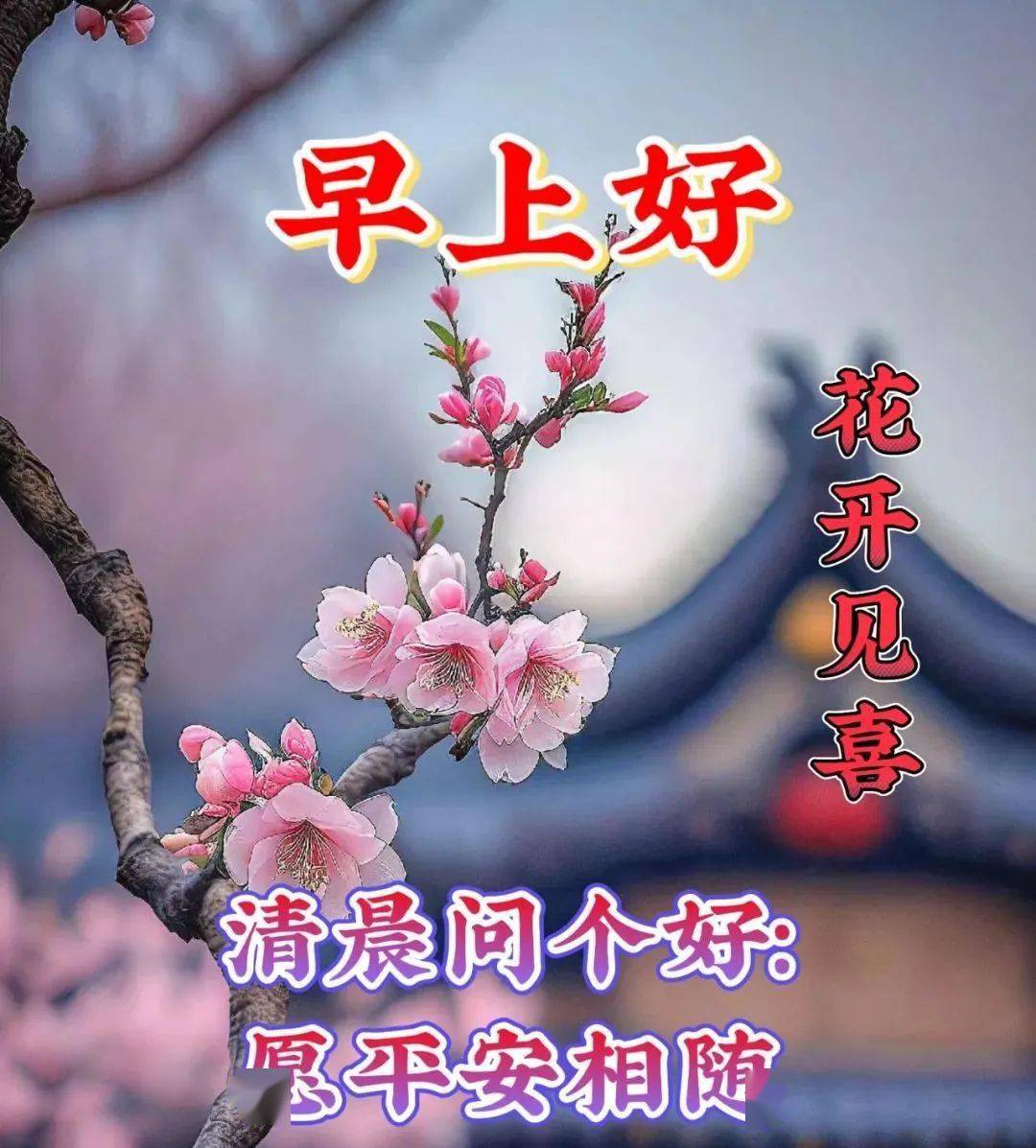 最新版早上好祝福美图,早安漂亮问候祝福图片_朋友_阳光_友情