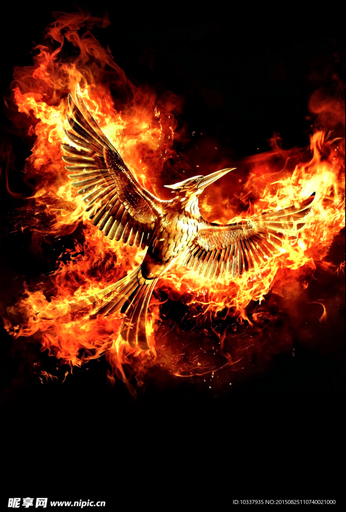 浴火重生火凤凰图片