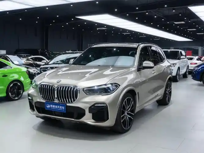 宝马 宝马x5  2019款 xdrive40i m运动套装图片