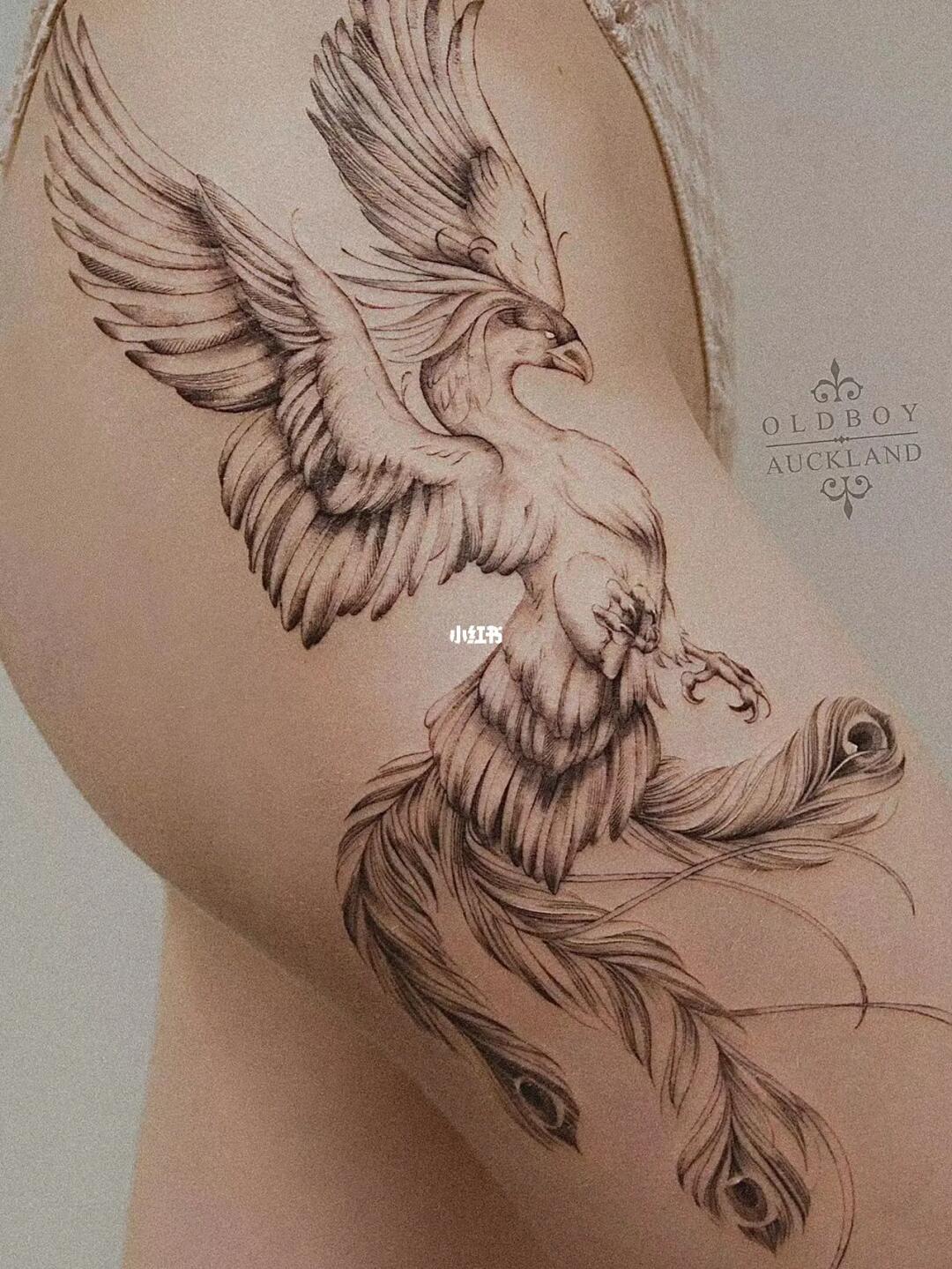 奥克兰纹身 #凤凰涅槃浴火重生  #奥克兰生活  #奥克兰日常