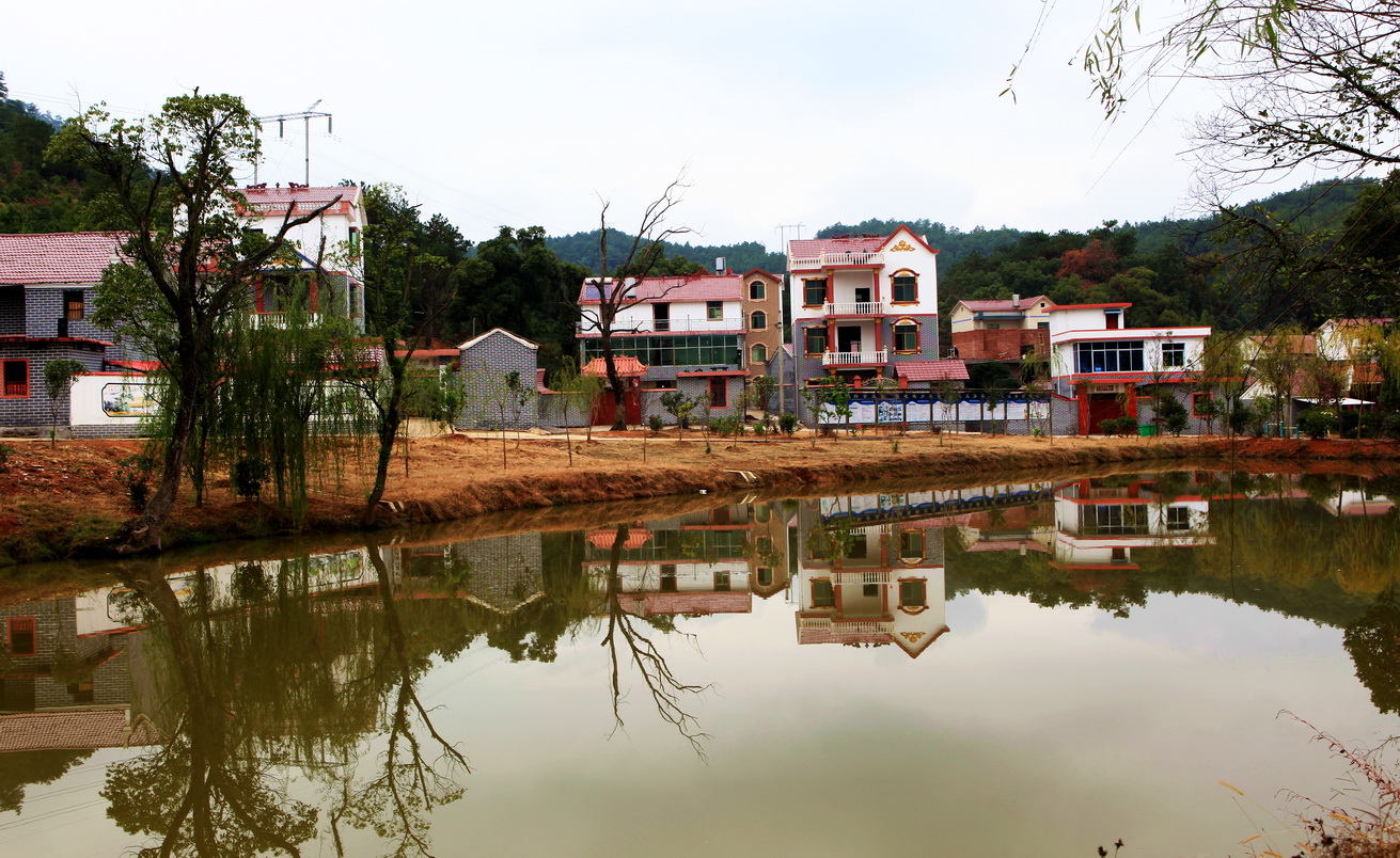 走进新农村——田心村