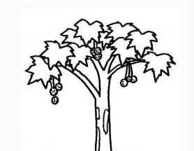 画树简笔画树四季的树