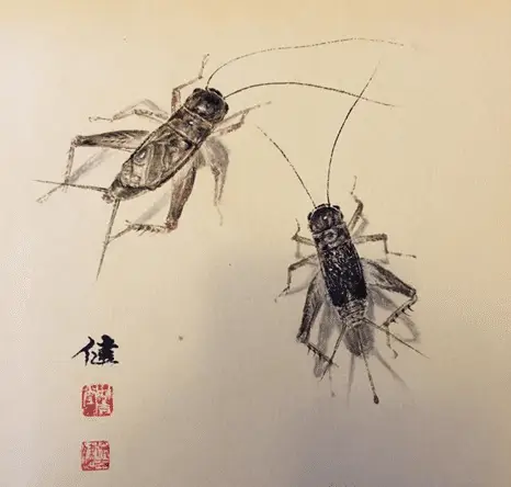 赏玩蟋蟀的由来