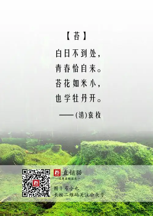 苔花如米小,也学牡丹开