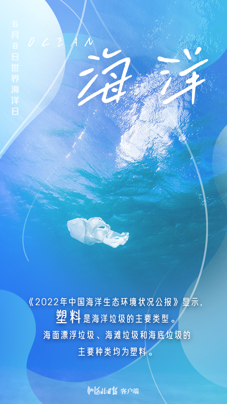 世界海洋日海报保护海洋守护蓝色家园