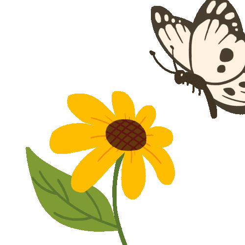 精巧漂亮小蝴蝶就完成喽,你们学会了吗?