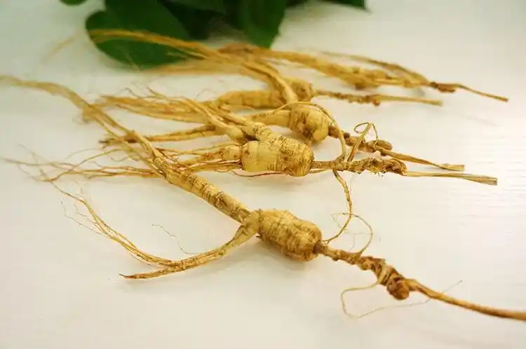 东北野山参切片林下参干货价格野生山参_中药材_医药,保养,制药,医疗