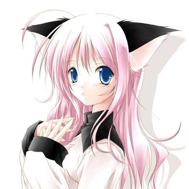 动漫二次元猫耳朵妹妹美图壁纸,喜欢就抱走吧!