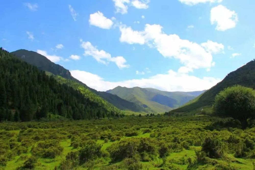 这个"五一",夏河等你来赴约!_腾讯新闻