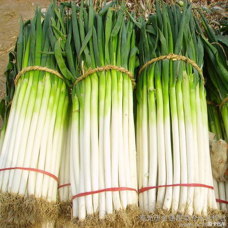 弟兄们给我葱啊!