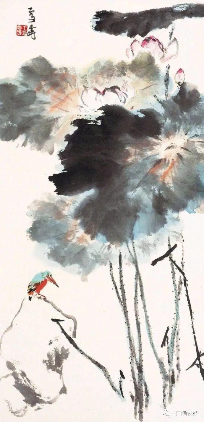 王雪涛写荷68幅美不胜收