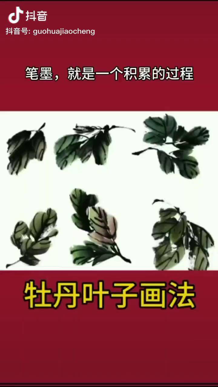 牡丹叶子画法每日一画画画国画教程画国画