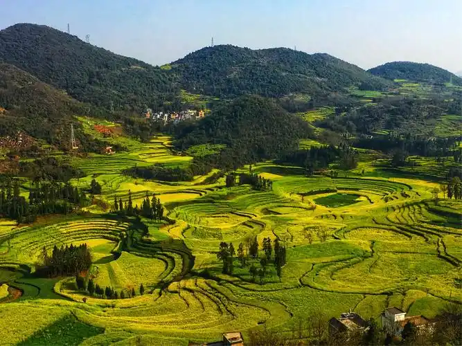 阳春三月 彩云之南(手机拍摄)