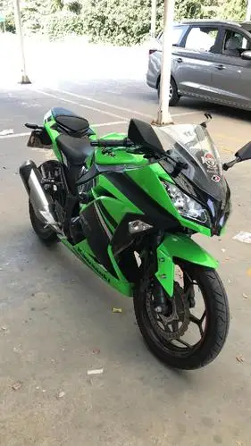 14年川崎小忍者250abs