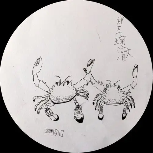 优彩少儿美术线描写生-梭子蟹