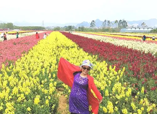 春游花海湾,情悦人亦欢