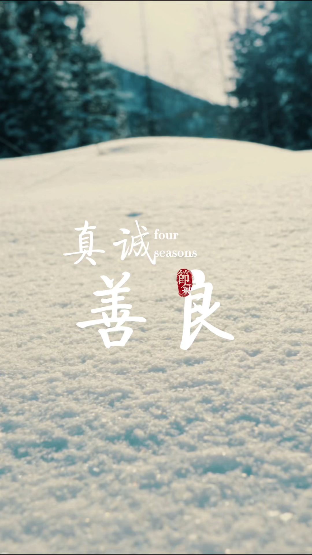 扎心情感语录#善良和真诚永远都不会错,错的是没有分清对象,所以我们