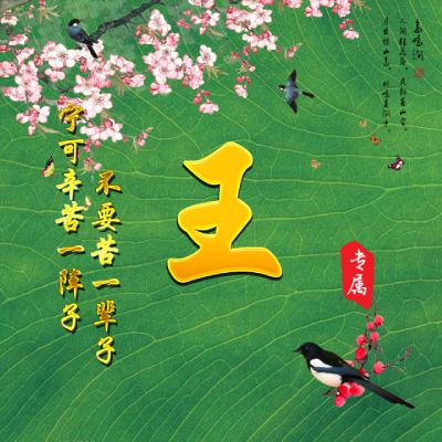 2023王姓个性头像图片(精选14张)