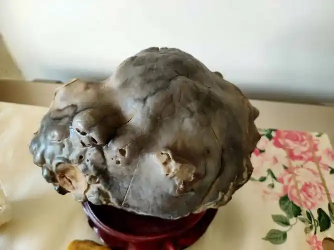 新疆奇石千奇百怪的蛋白石