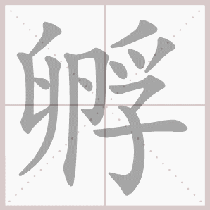 孵的拼音孵的笔顺孵的意思