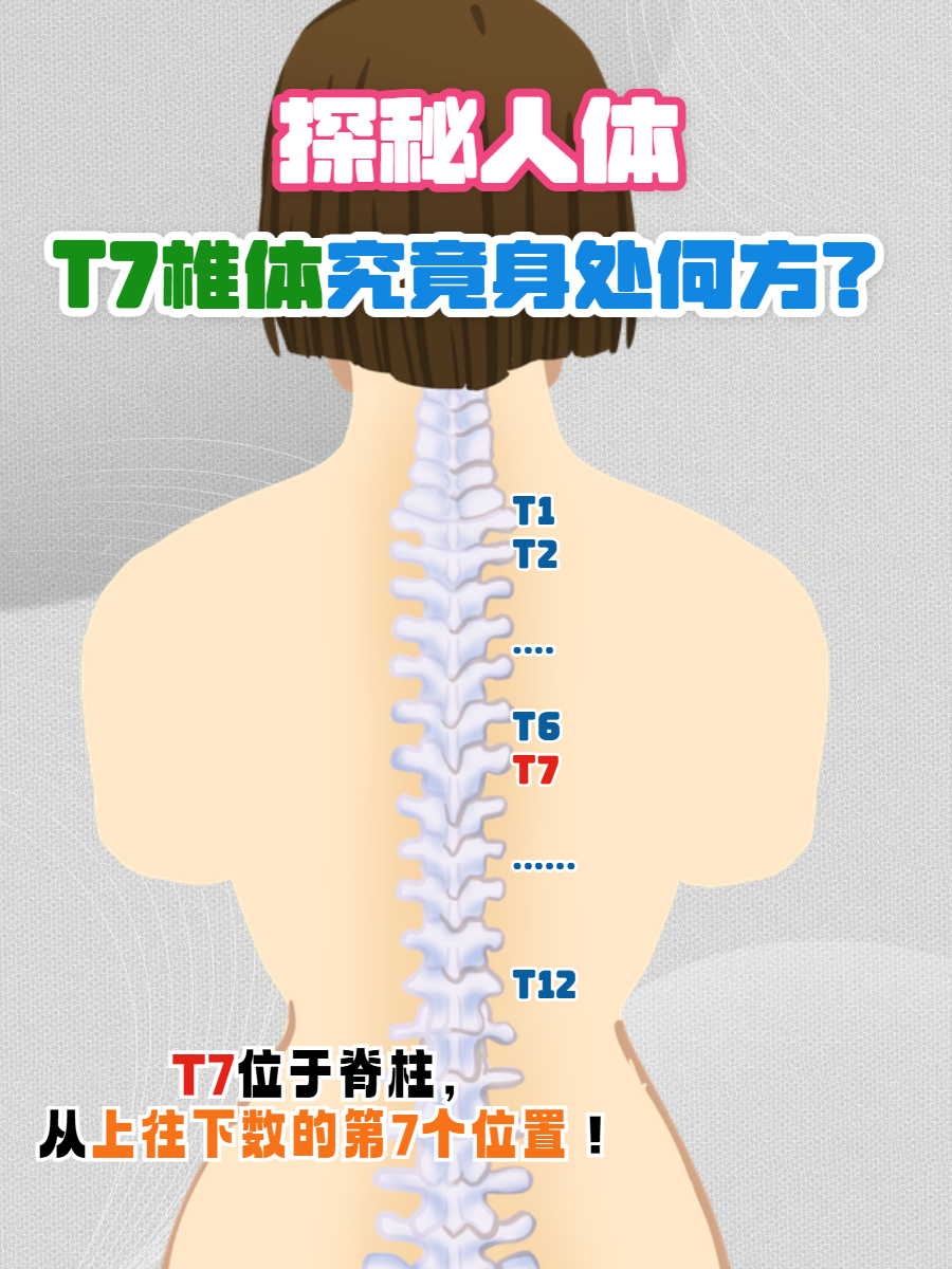 下面就为大家详细