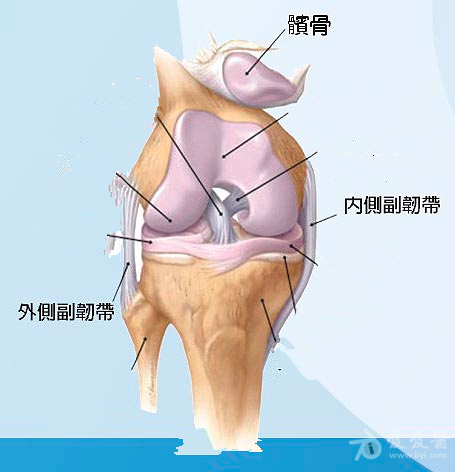 交流一下膝关节内侧副韧带损伤的诊治
