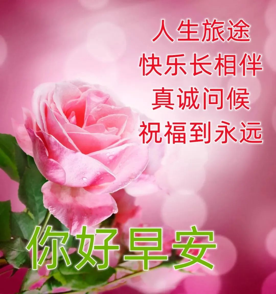 清晨超暖心早安问候语图片表情带字,早安清晨短信问候祝福语