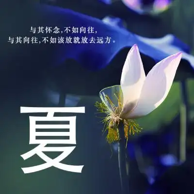 荷花头像带姓氏