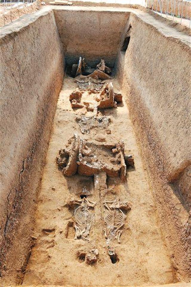 两千多年前,一个欧洲人来到中国寻找黄金,结果却被秦始皇整死了