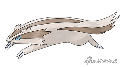 口袋妖怪复刻手游直冲熊种族值属性详解